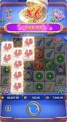 33l · Win Win Fpc